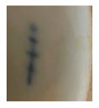 Actual Berlin Sceptre Mark