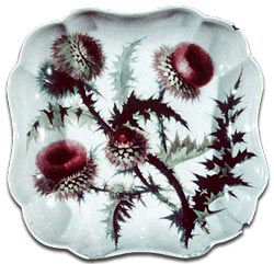 William Pegg Thistle Study