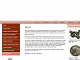 H&H Auction Rooms