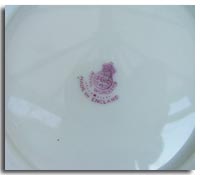 Royal Worcester Mark on Fruit Painted Porcelain Dish - 