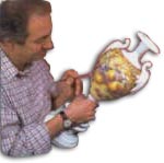 royal worcester fruit 
	painted porcelain