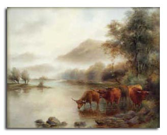 Worcester Stinton
Highland Cattle Landscape