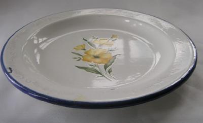 Floral Transfer on Enameled Plate
