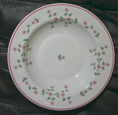 Pattern Photo of Rimmed Bowl