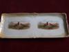 Victorian RSPCA  Dishes