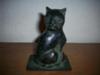 Front of cat
