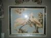 Cockatiels Watercolor by an artist named Turner